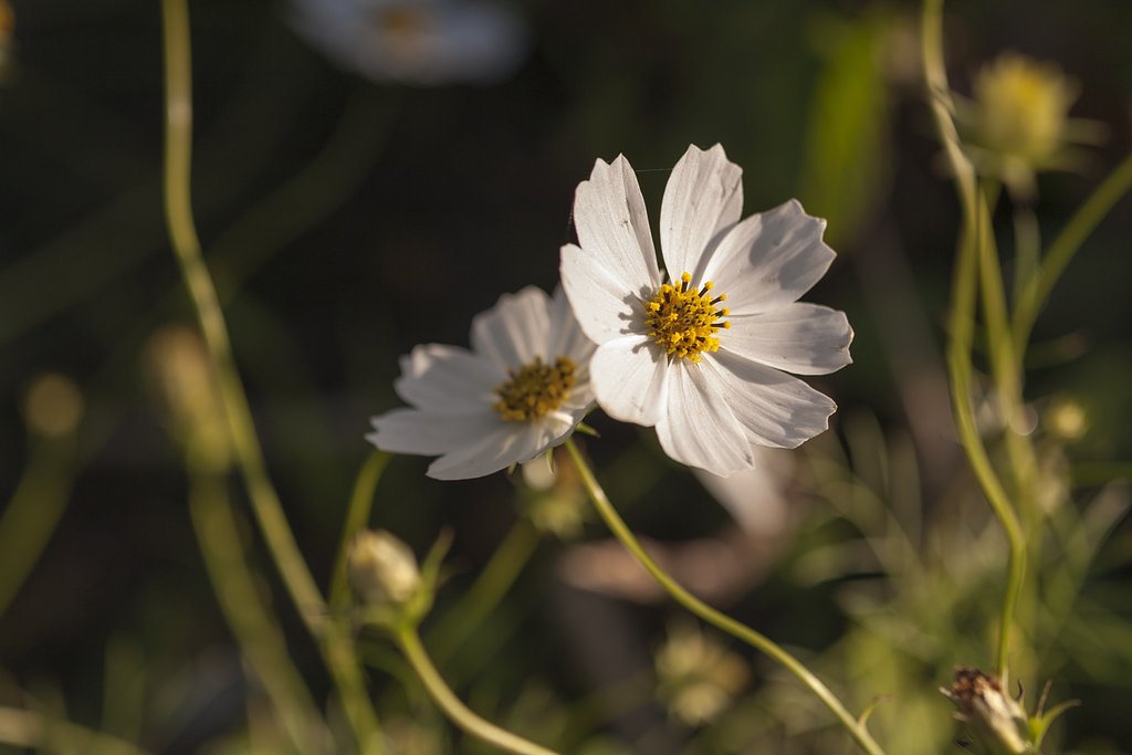 美しく照らされて