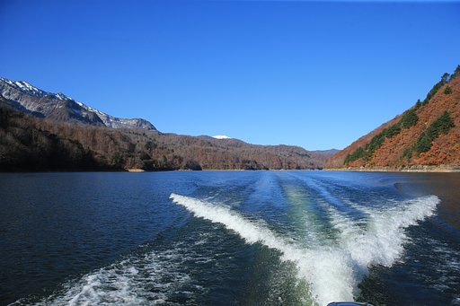 銀山湖の朝ｰその2