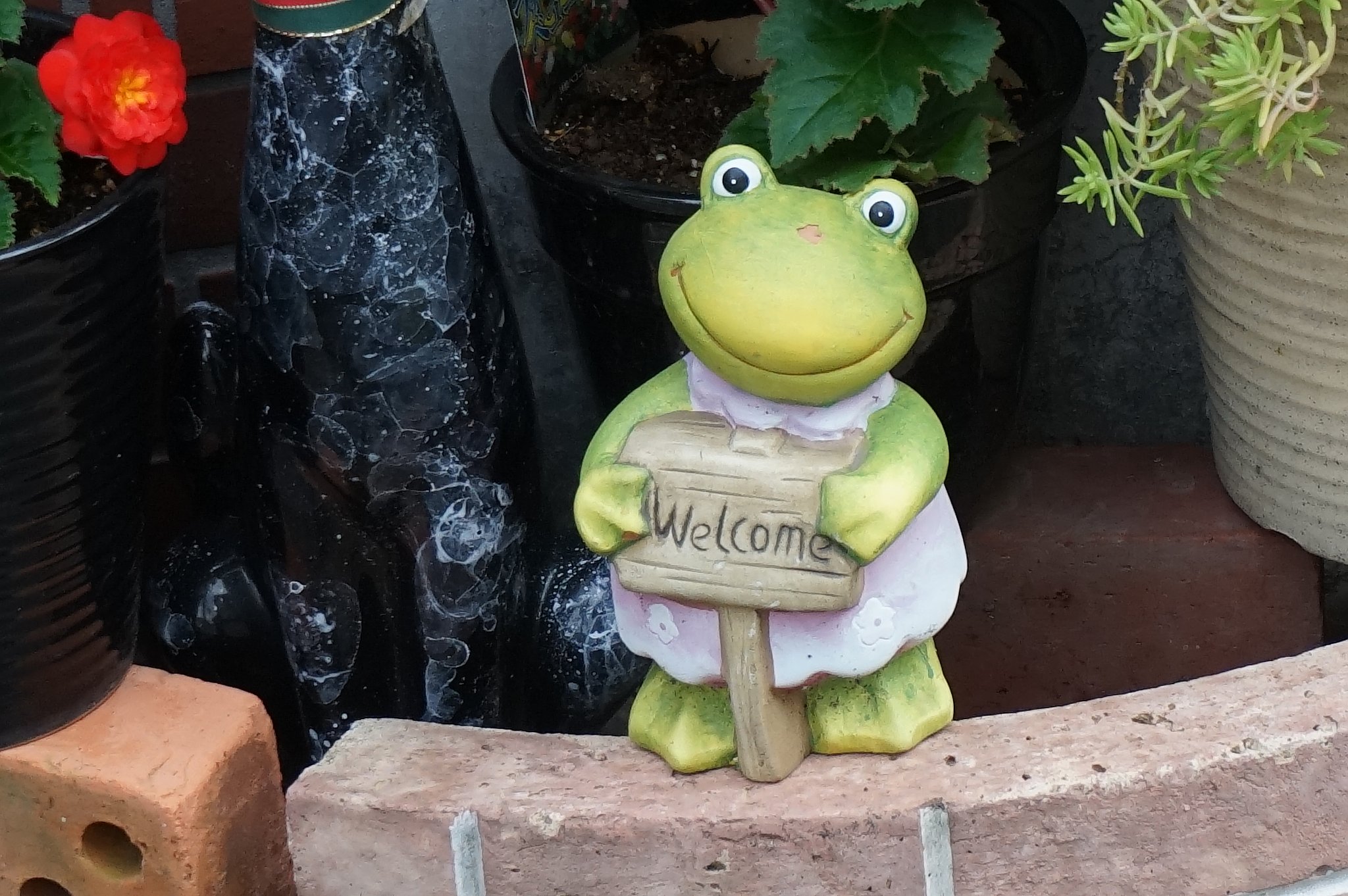 WelCame