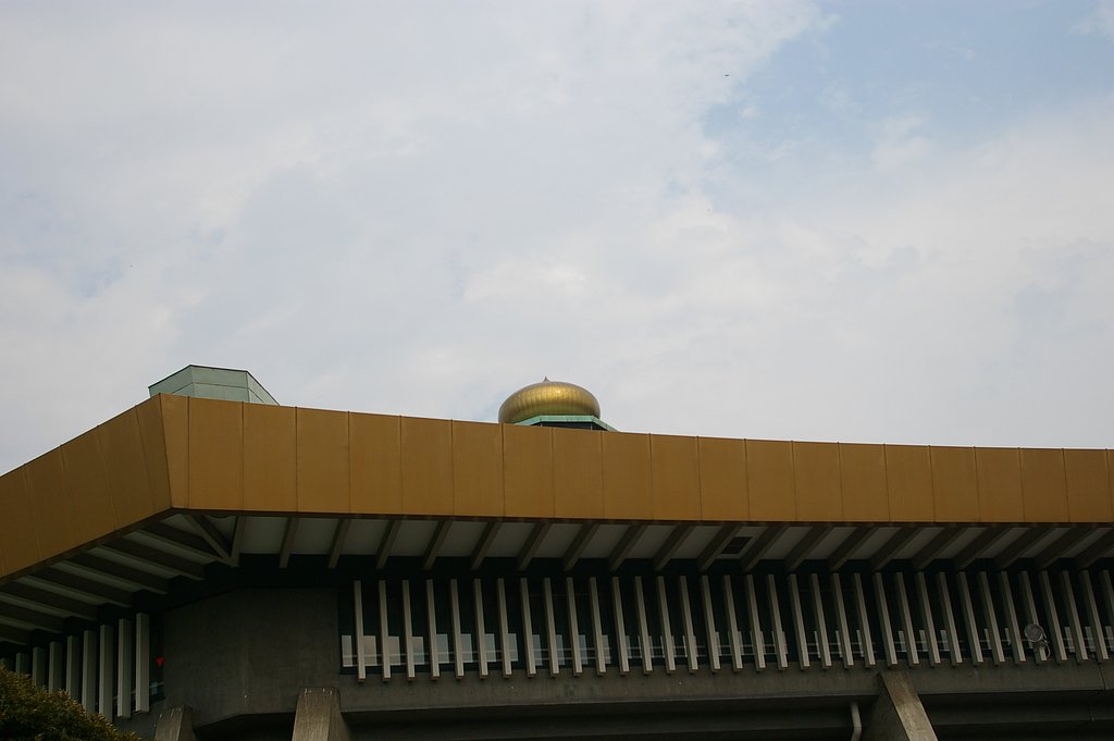 大きなタマネギ