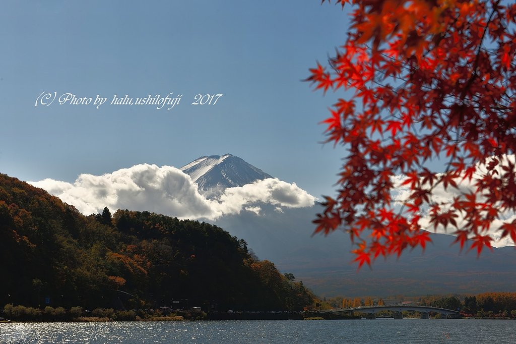紅葉最終便