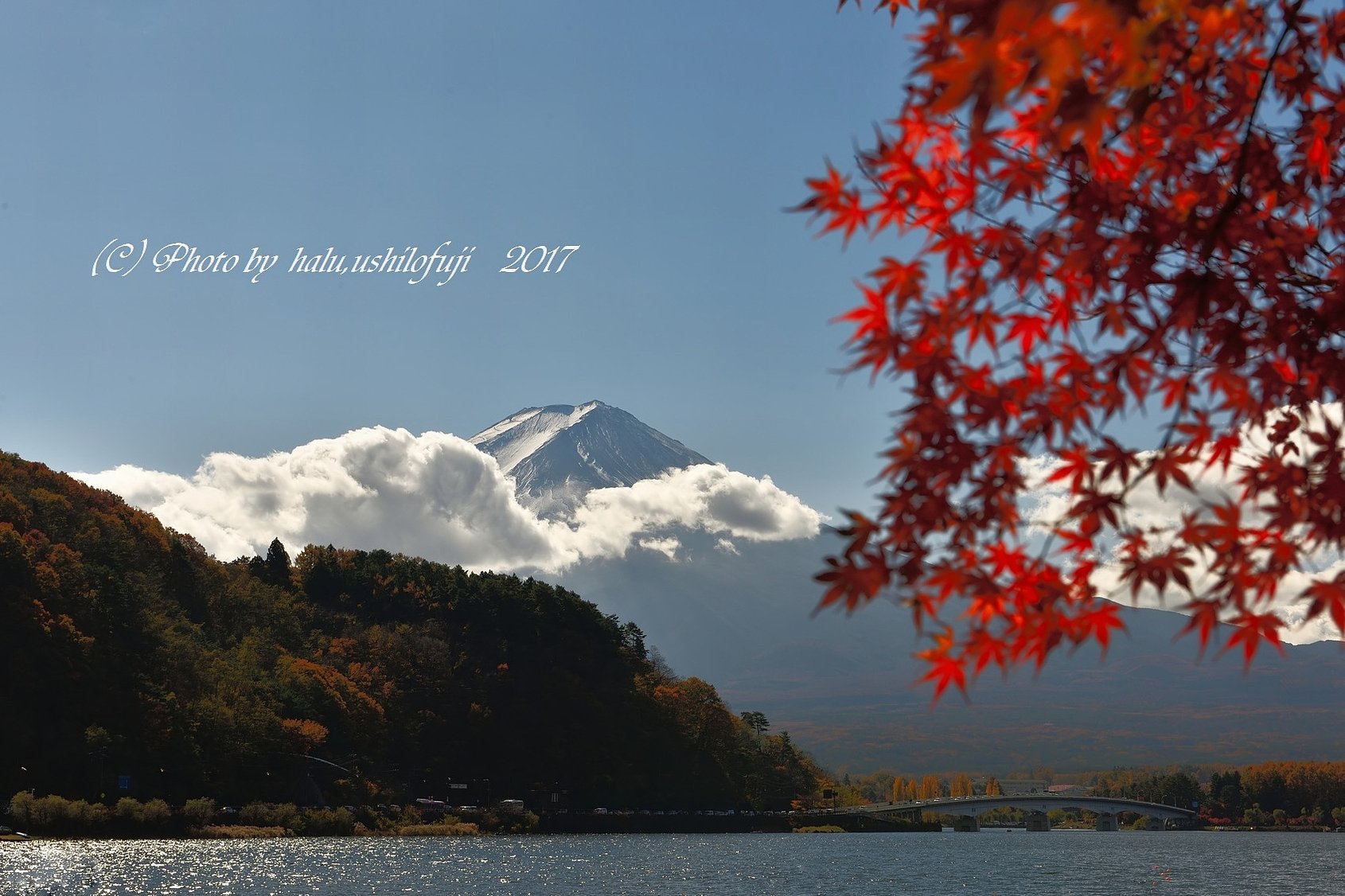紅葉最終便