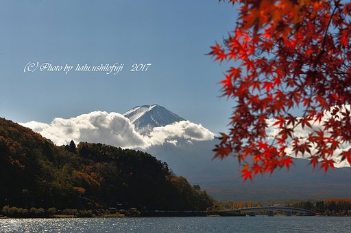 紅葉最終便