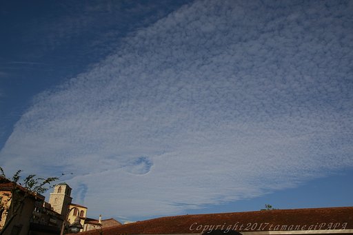 大空にイルカ
