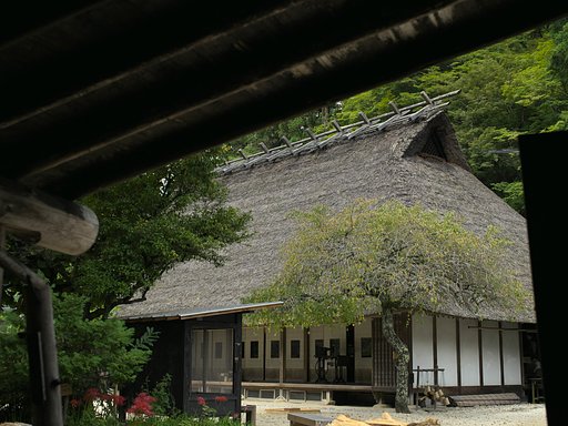 9月27日の写真