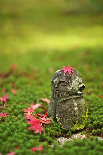 圓光寺3