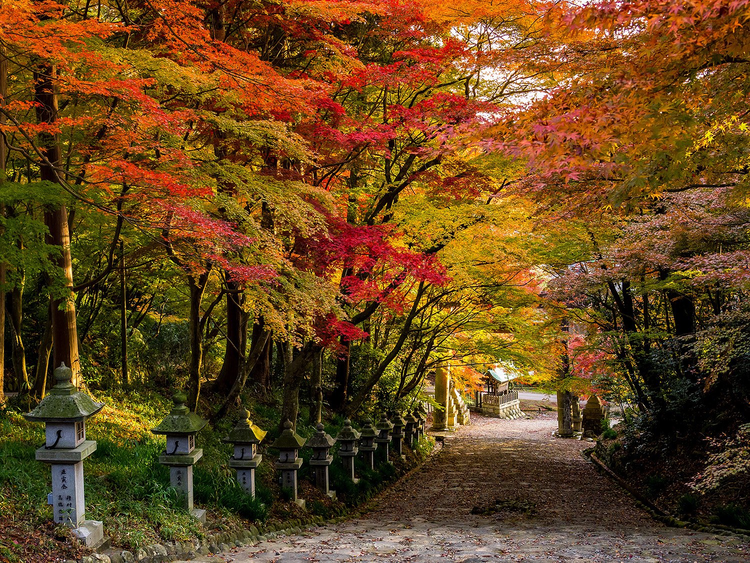胡宮神社