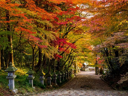 胡宮神社