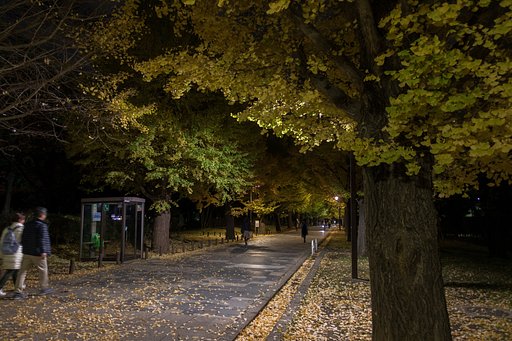 家路