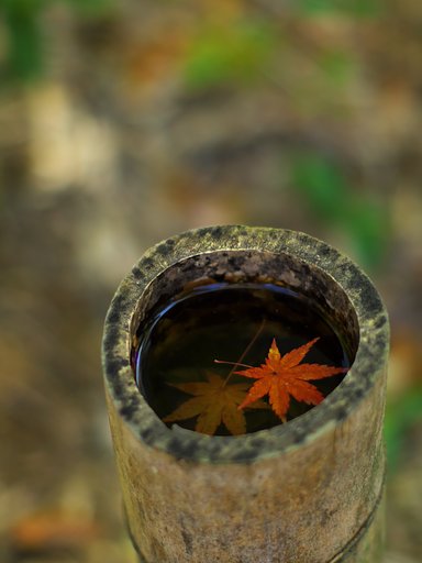 竹の彩