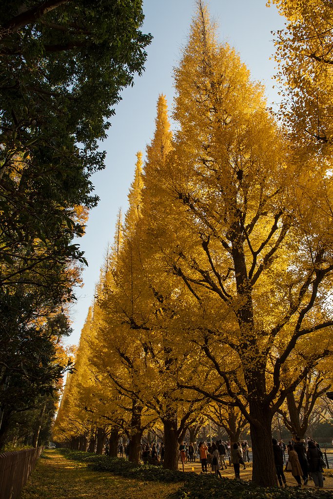裏に穴場あり