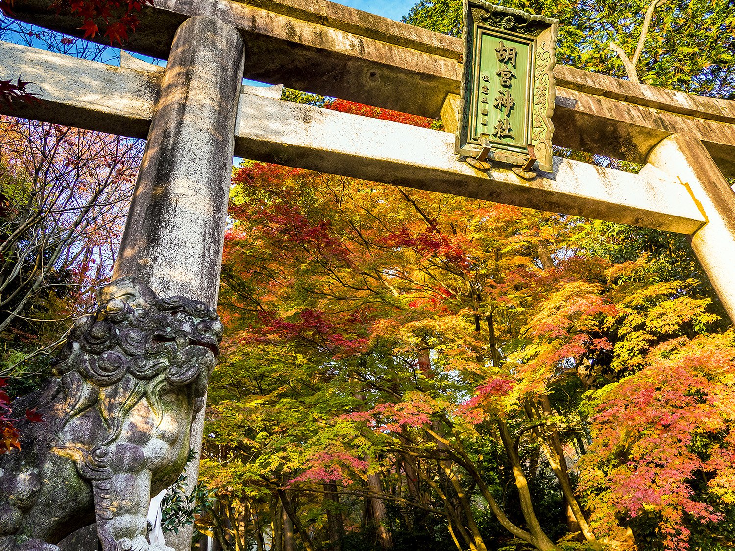 胡宮神社3
