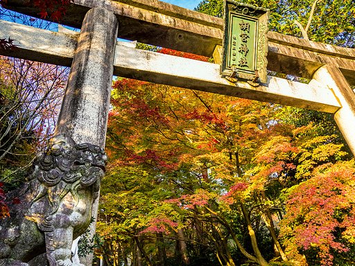 胡宮神社3