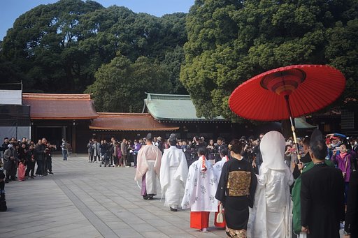 明治神宮にて