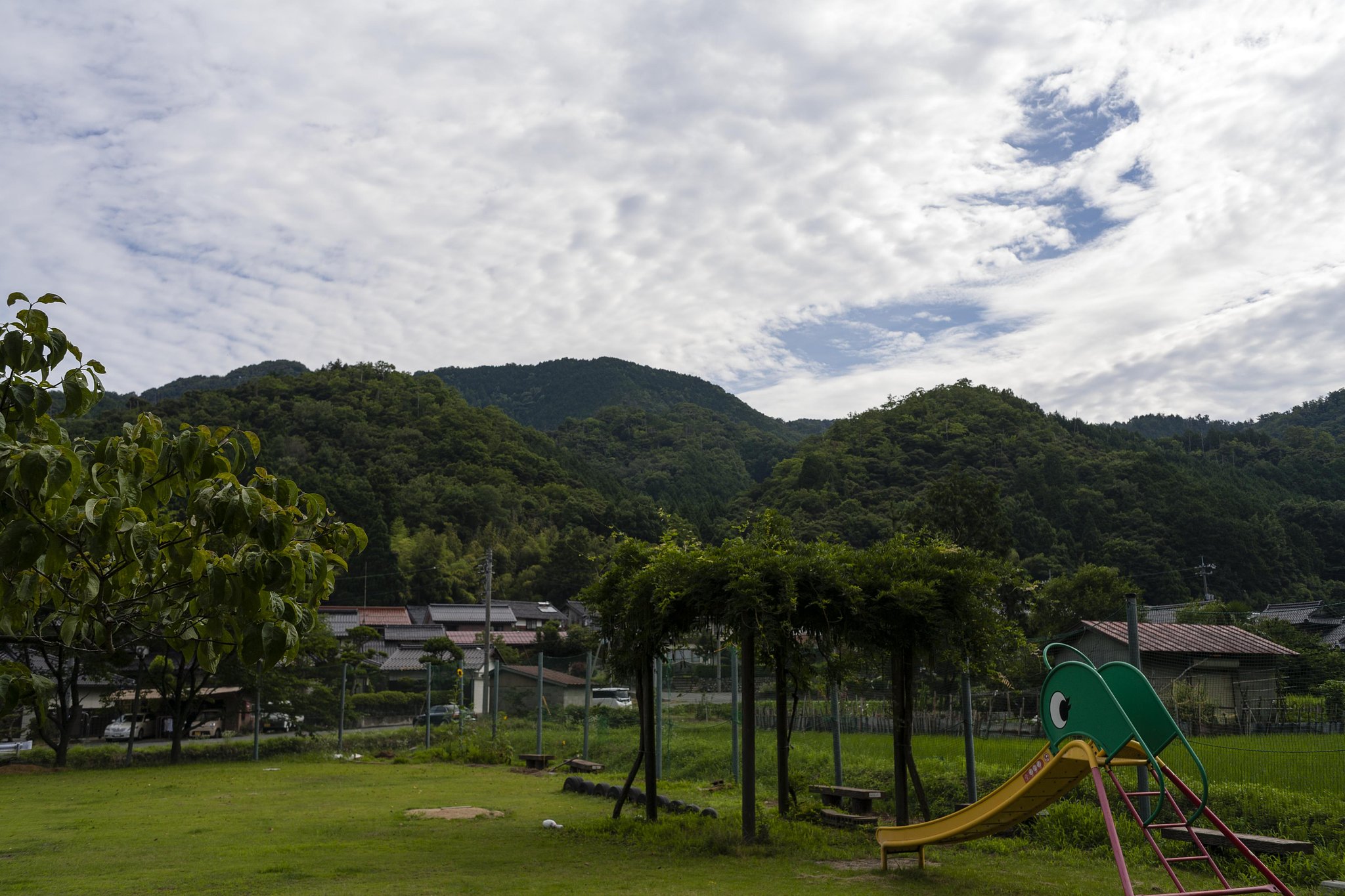 鱗雲