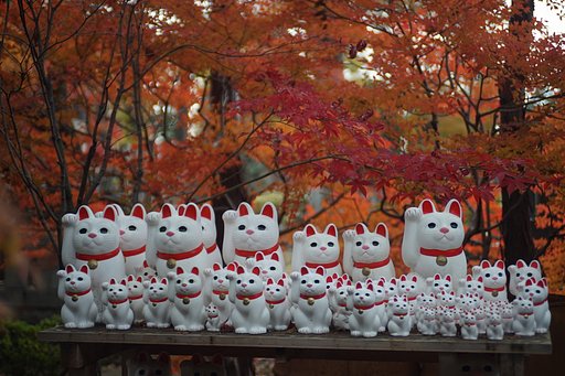豪徳寺の紅葉