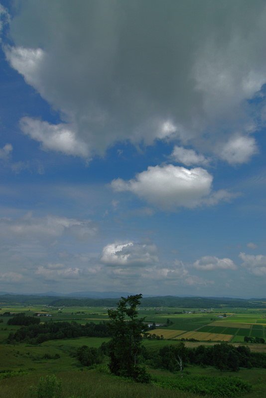 田園の夏！