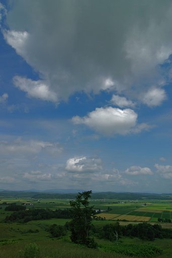 田園の夏！