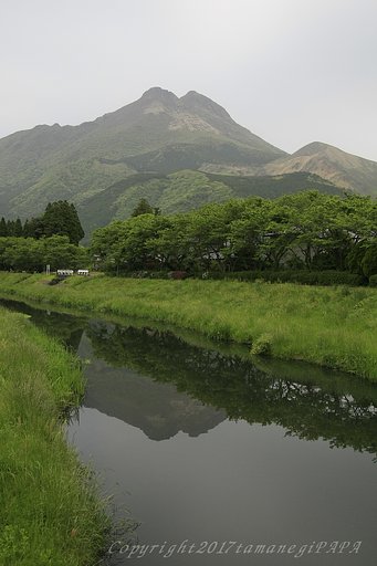 由布岳