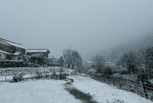結構な雪降りに