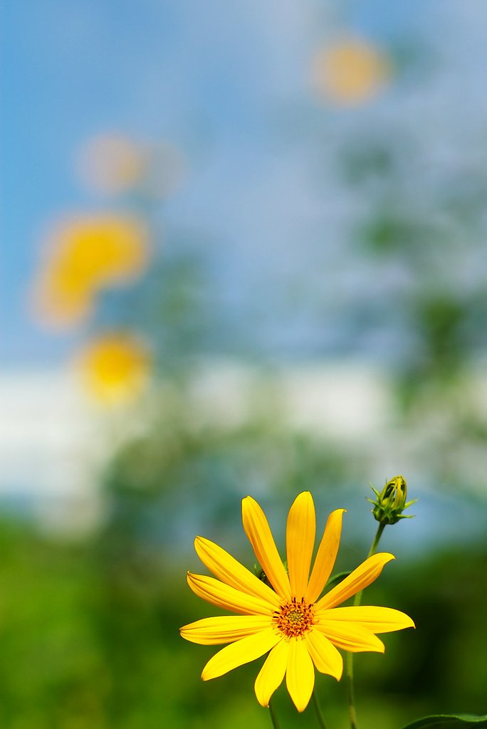 夏、ほのぼの