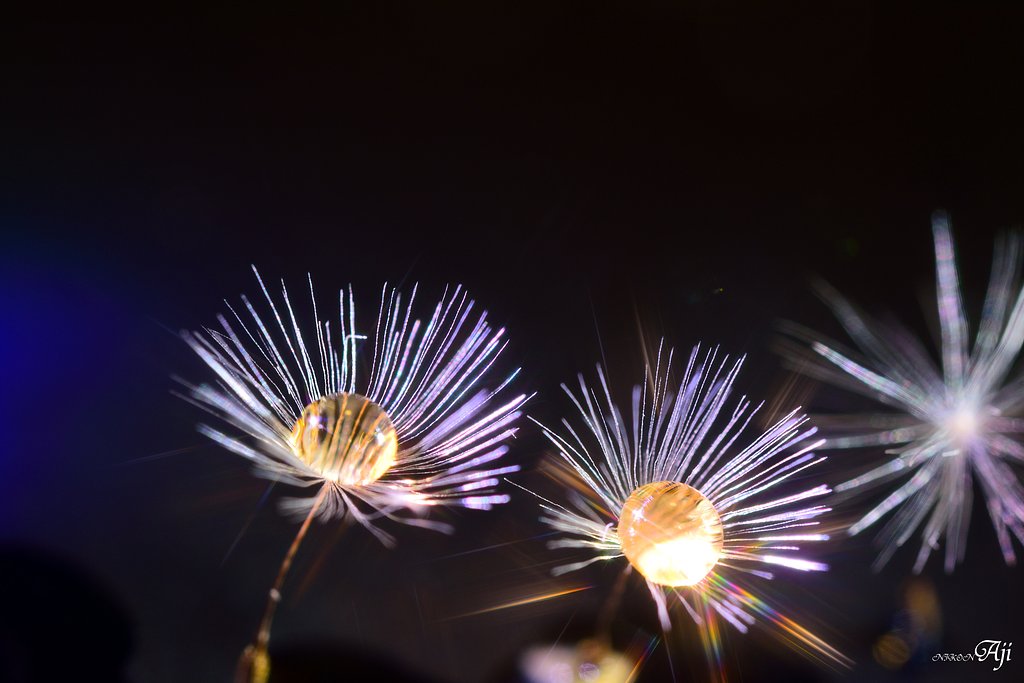夜空で舞う花火の様に