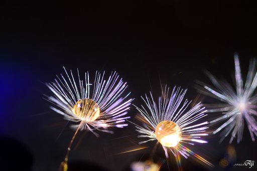 夜空で舞う花火の様に