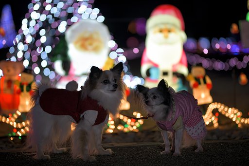 いつまで待たすの？