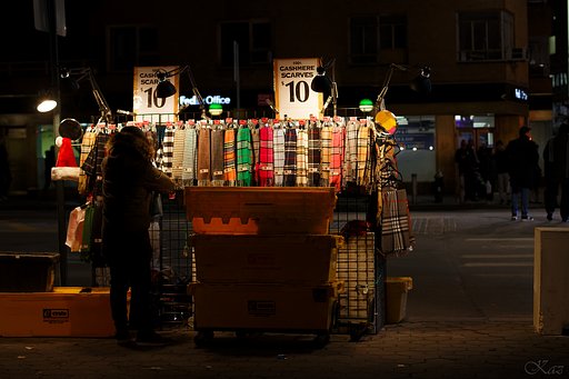 12月10日の写真