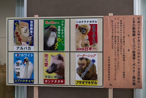 総選挙