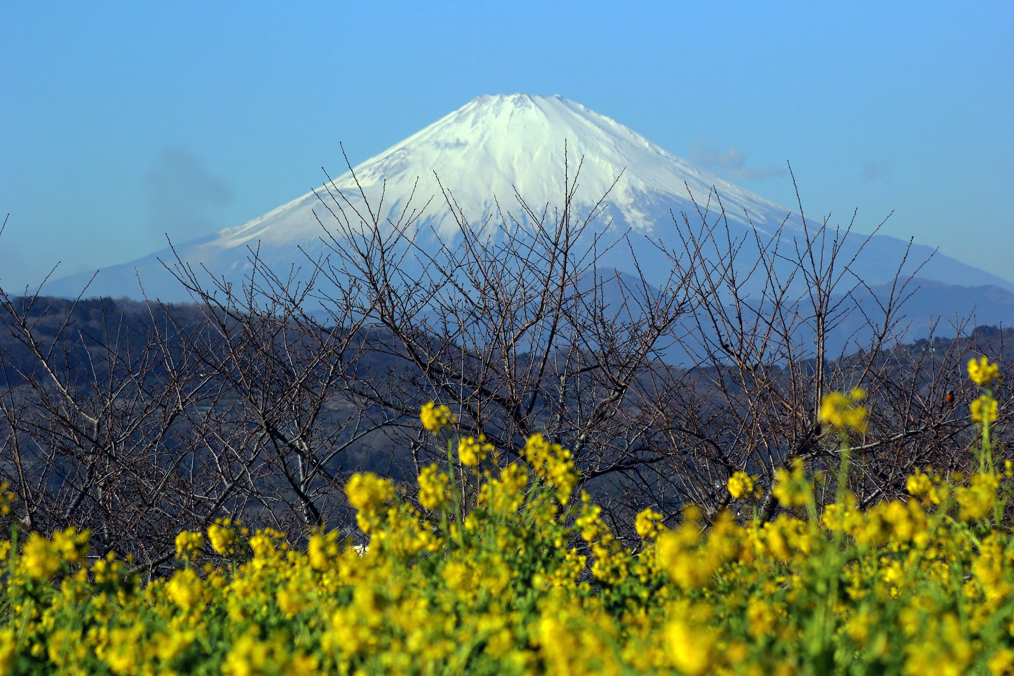 富士山