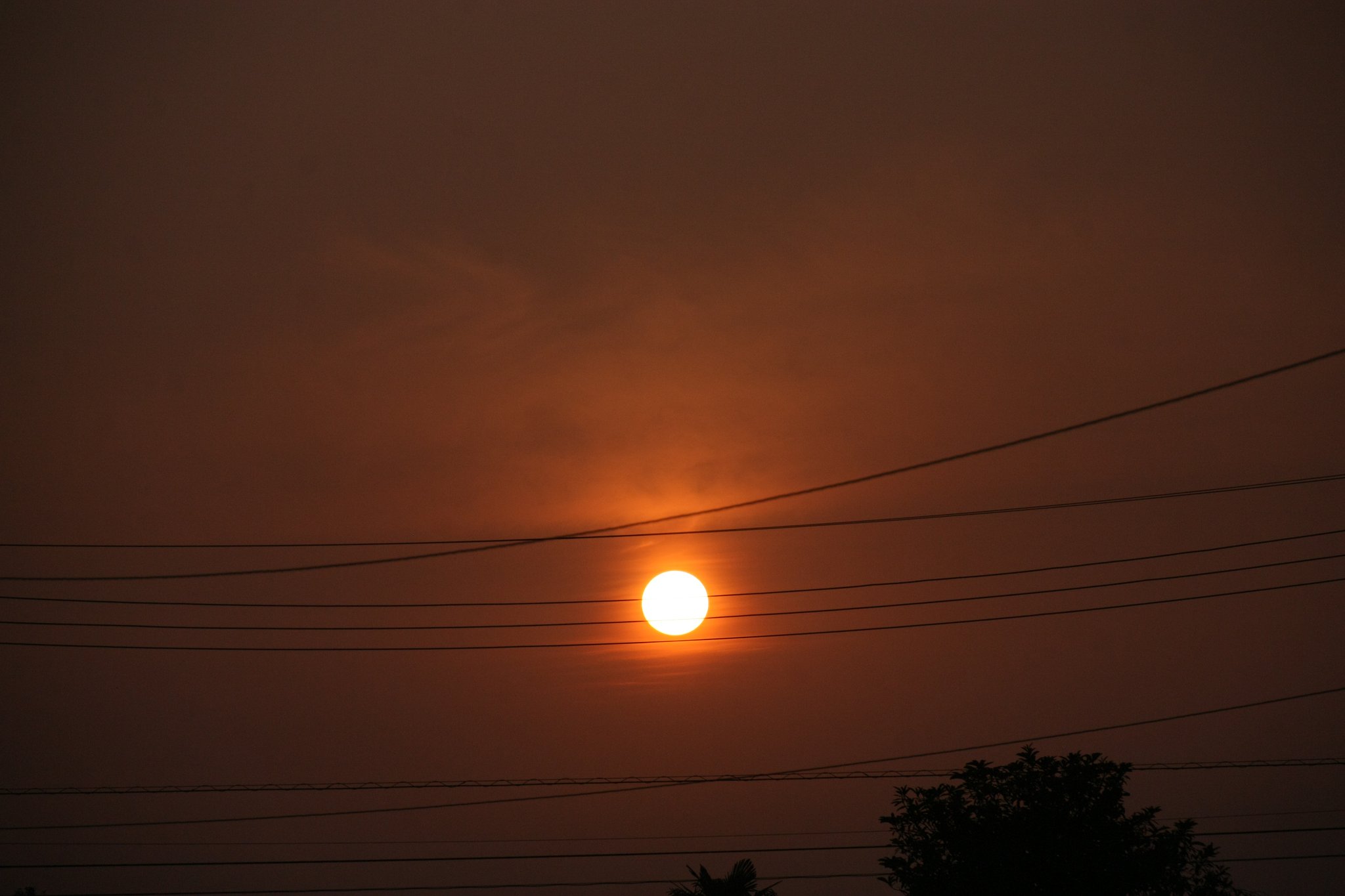 早朝の太陽