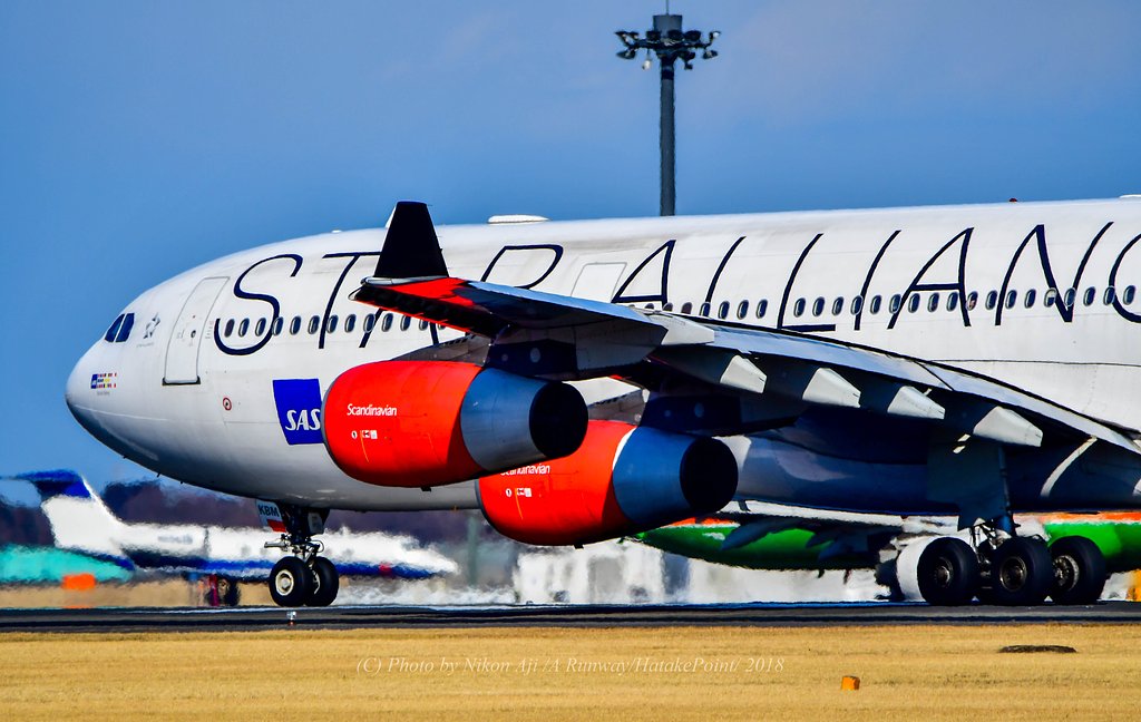 SAS　A340　スタアラさん