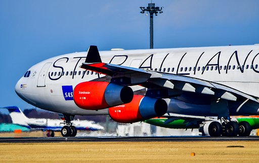SAS　A340　スタアラさん