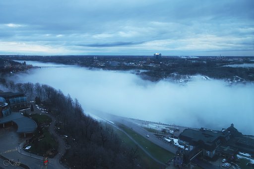 1月12日の写真