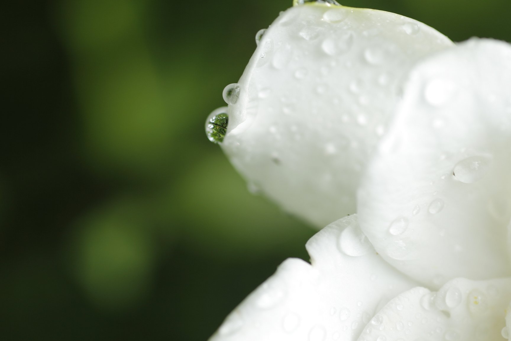・・・雨ですねぇ。。。