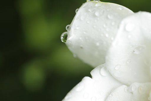 ・・・雨ですねぇ。。。
