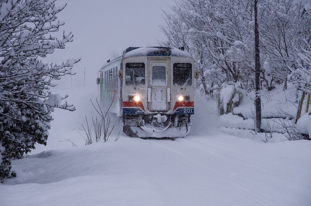 雪中疾走