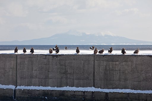 国後島を背に