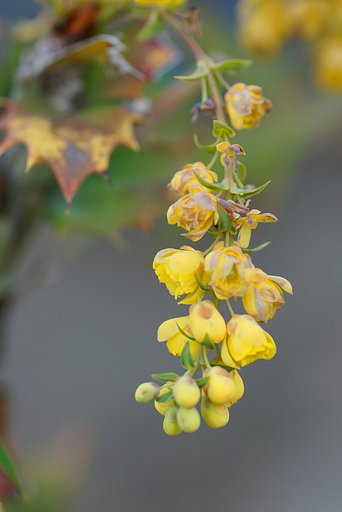 3月19日の写真