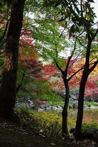 紅く染まって