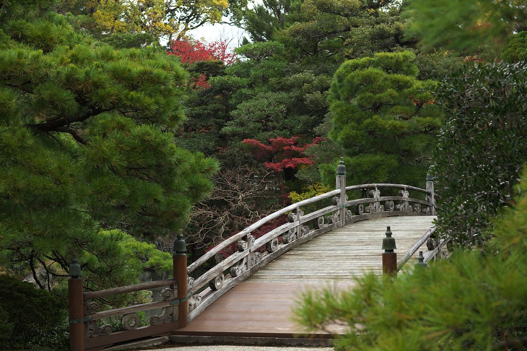 京都御所2