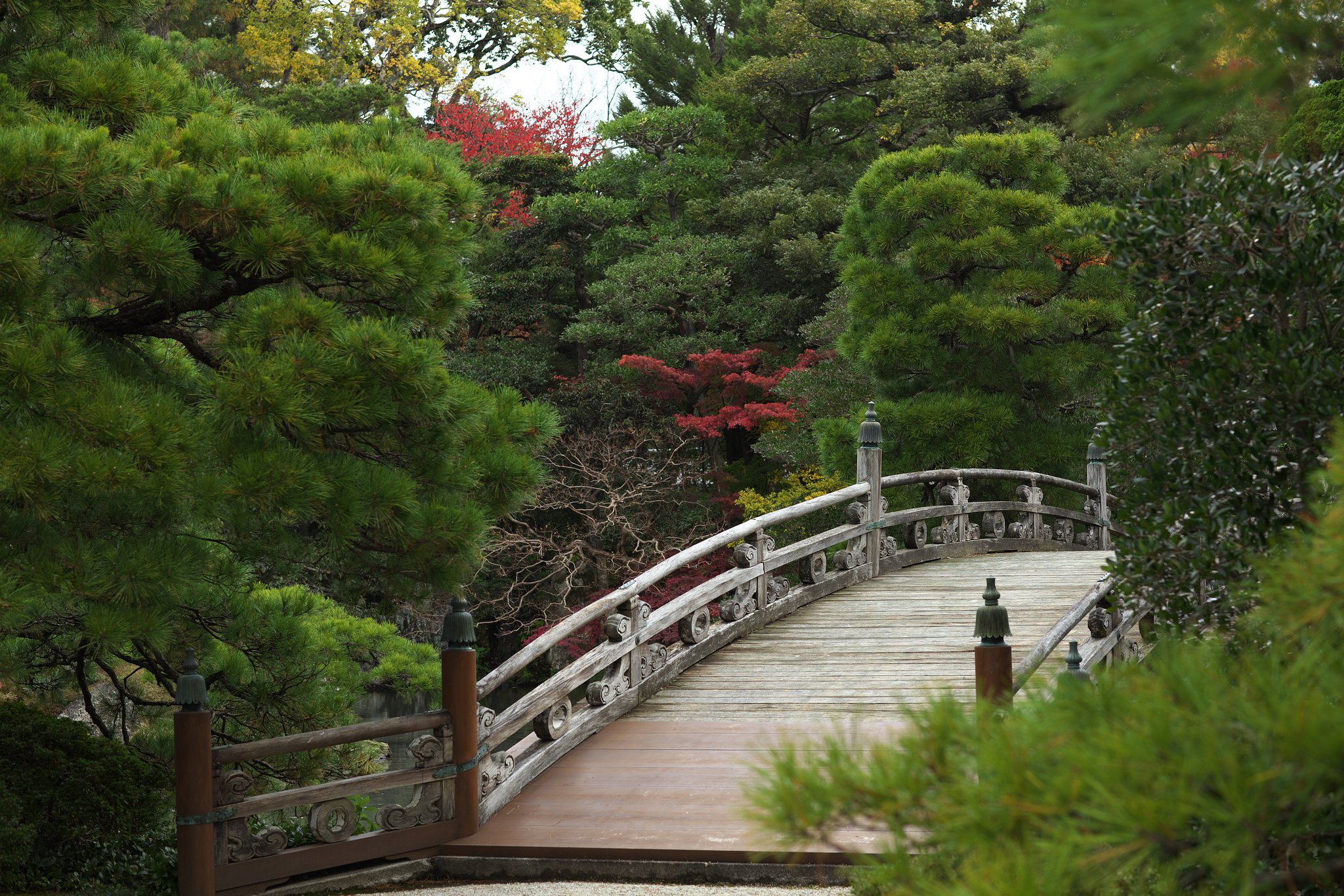 京都御所2