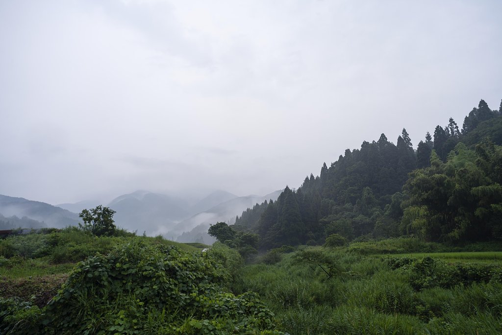 雨の朝
