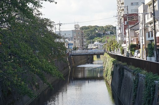 呑川