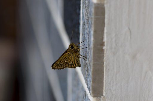 玄関にモデルさんが