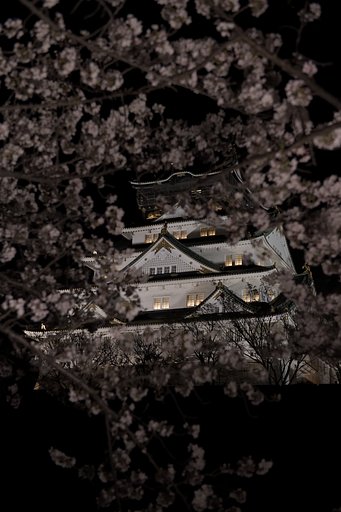 大坂城春の陣