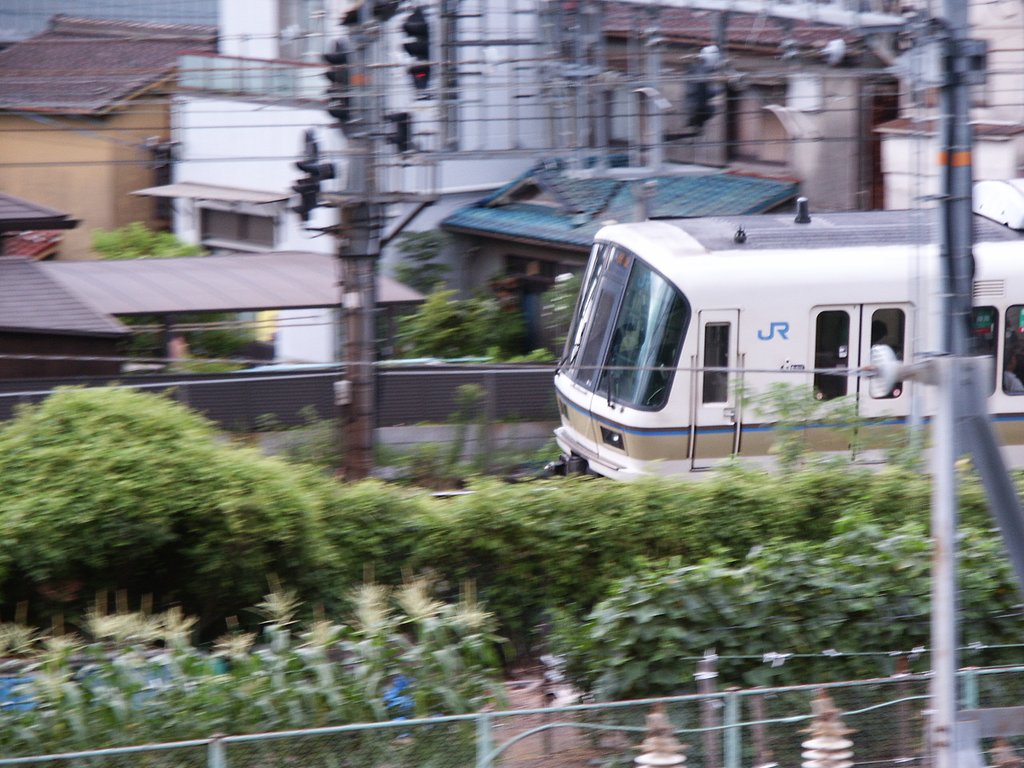 2000年のカメラで撮影