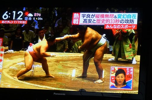 sumou