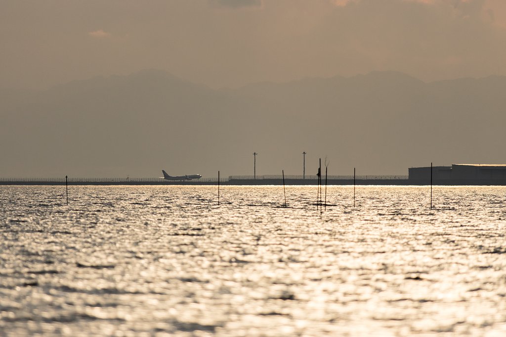 夕暮れのlandingⅡ